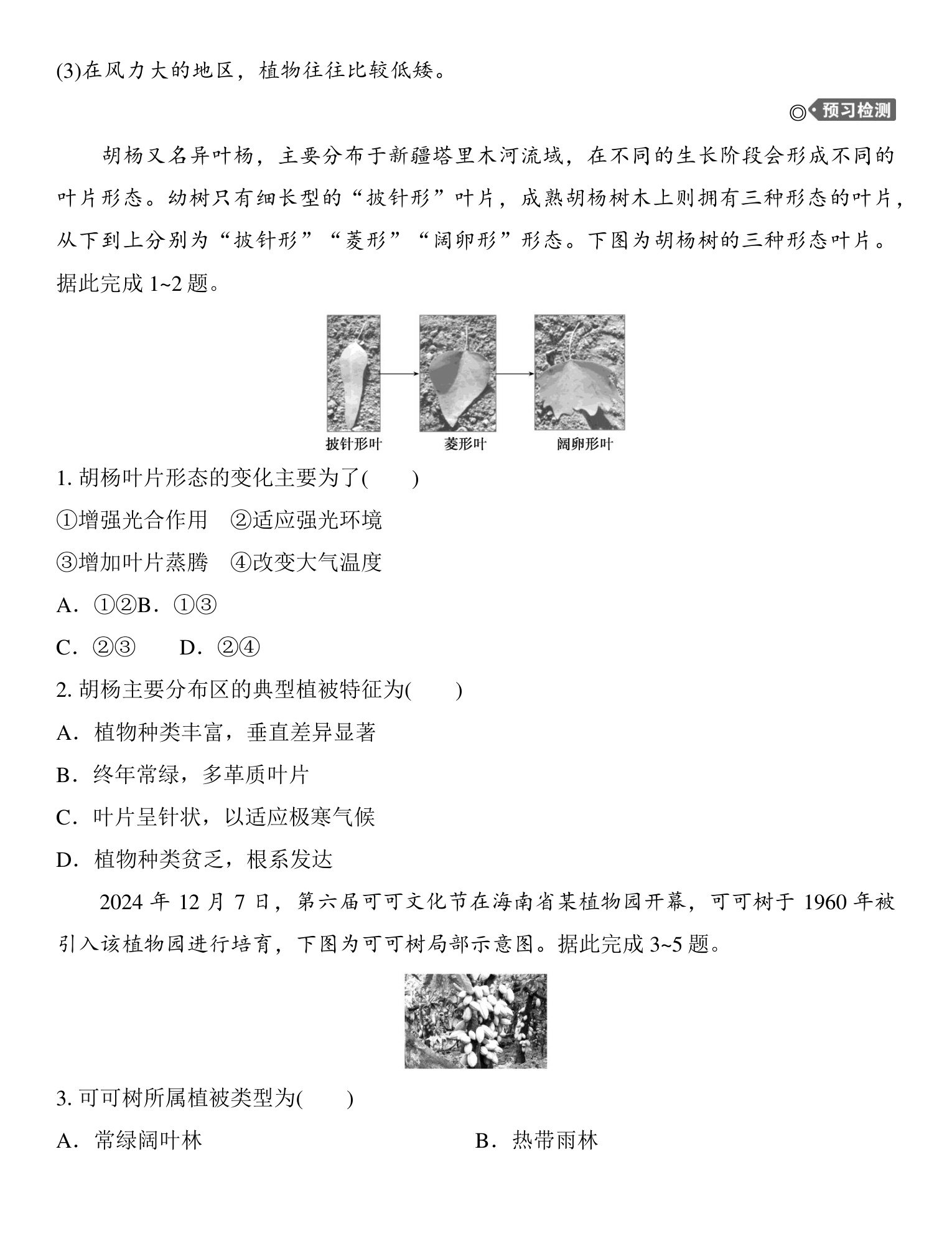 1  课时35  主要植被与自然环境 第3页