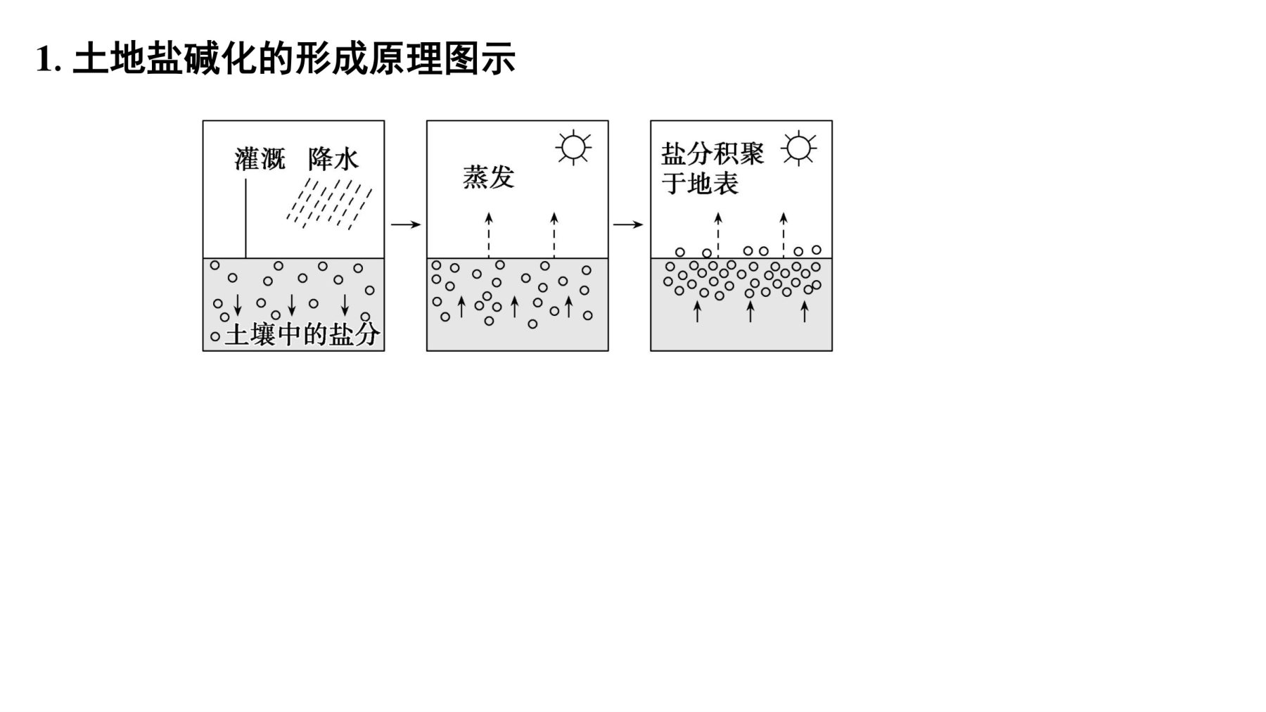 7  培优方案10  土地盐碱化 第4页
